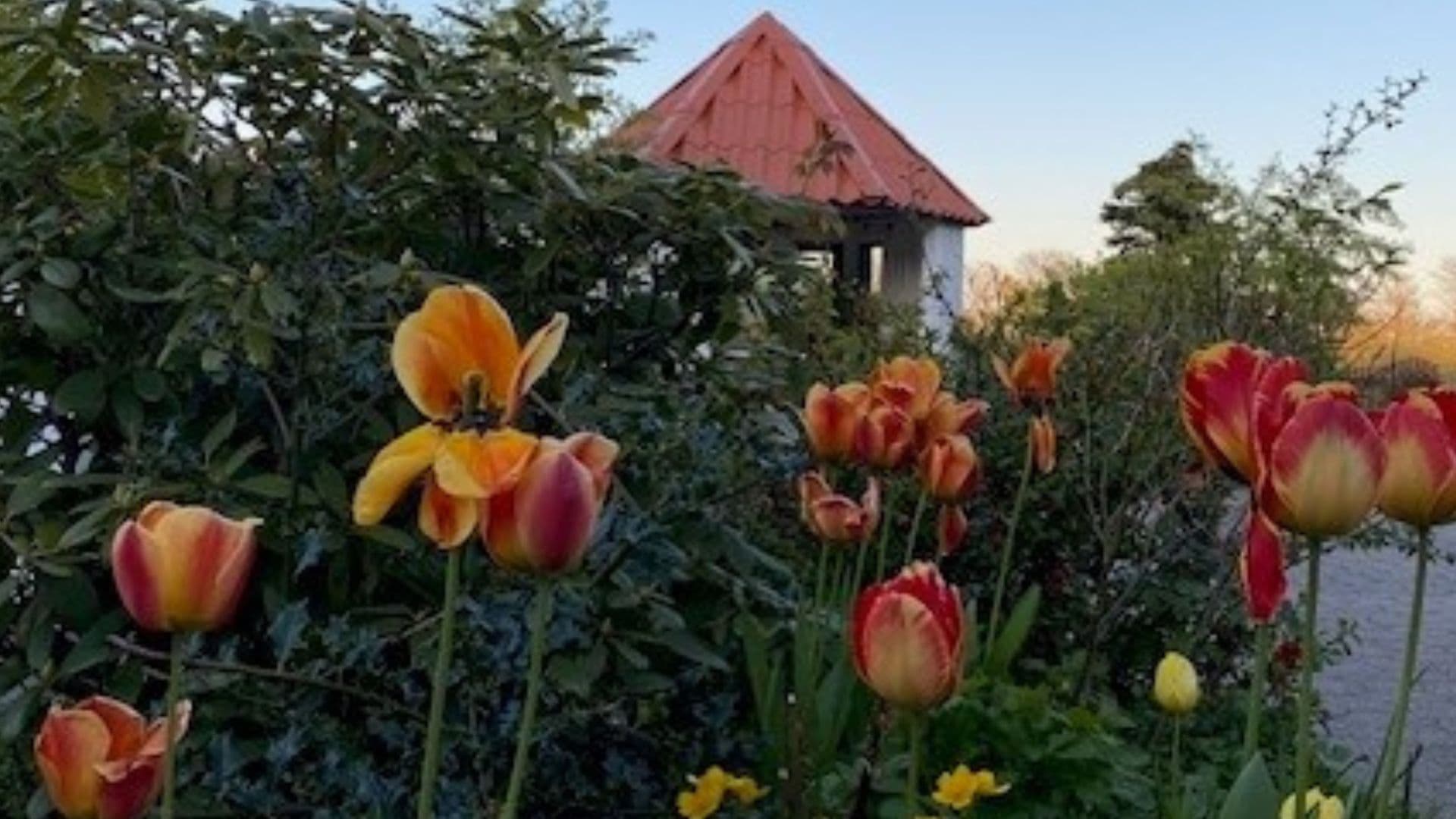 TornbyGuesthouse