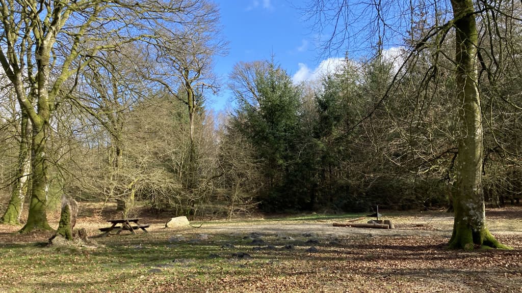 Urskoven teltplads