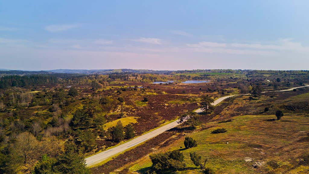 View of the Vrads Sande moorland landscape