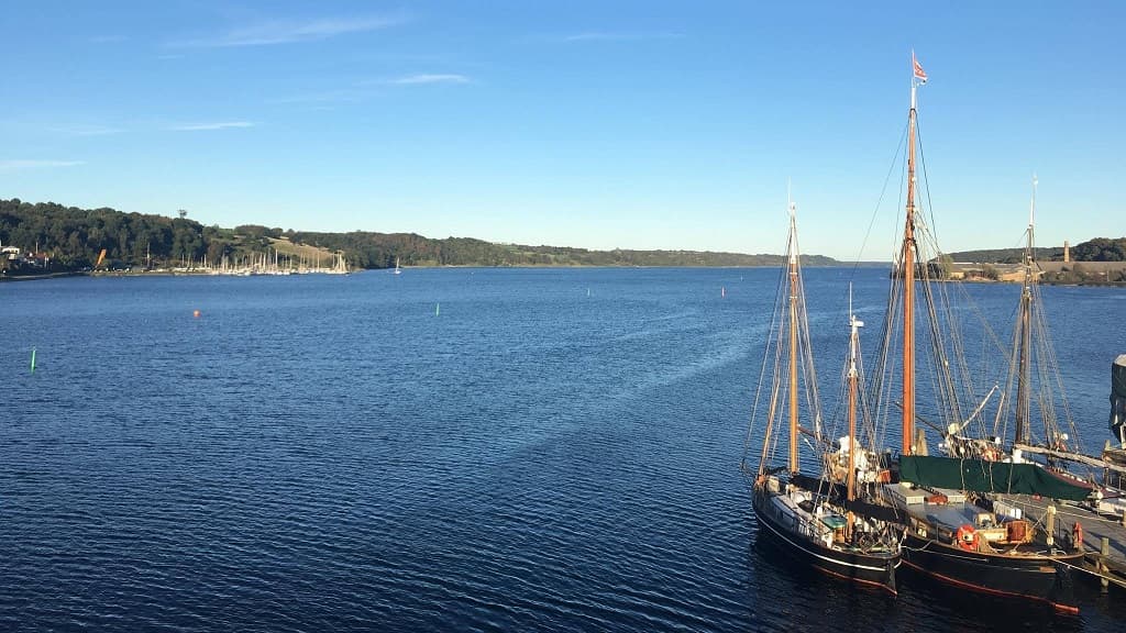 Hør fortællingen om Hvalen i Hobro Havn
