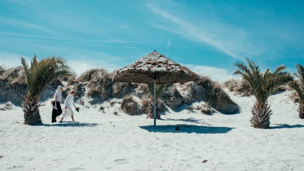 Palmestrand